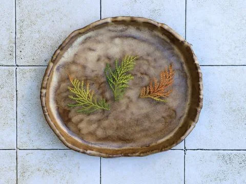 Rustic Ceramic Plate with Evergreen Branches Minimal Flat Lay Stock Photos