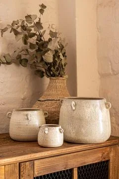 Rustic Ceramic Pot Set with Eucalyptus in Woven Vase Stock Photos