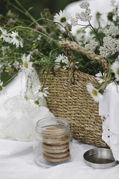 Rustic Charm: A Summer Picnic Delight Foto stock