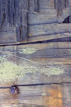 Rustic CharmRustic Wood Texture Background with Old Planks and a Rusty Nail Stock Photos