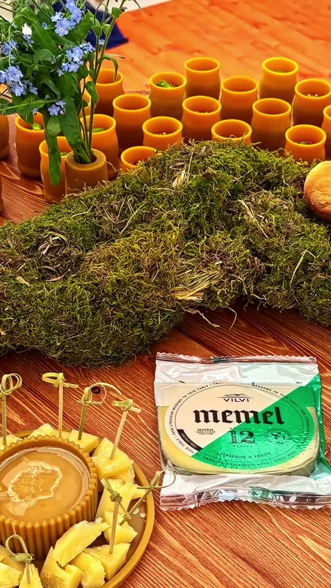 Rustic Cheese Platter and Moss Centerpiece with Flowers and Beeswax Candles on Video stock 339688122