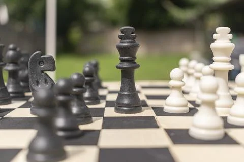 Rustic chess set, the board is made of wood and the pieces are made of recycled Stock Photos