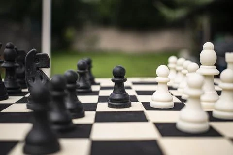 Rustic chess set, the board is made of wood and the pieces are made of recycled Stock Photos
