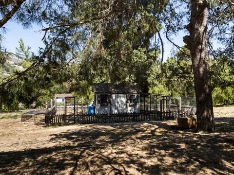 Rustic chicken coop and run nestled under shady trees on a sunny day Fotos de archivo
