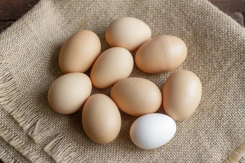 Rustic chicken eggs on burlap, top view. Stock-Fotos