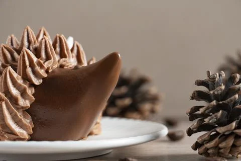 Rustic Chocolate Hedgehog Dessert with Pinecones Stock Photos