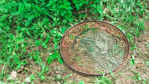 A rustic, circular net with colorful mesh lies on damp soil, surrounded by .. Stock Photos