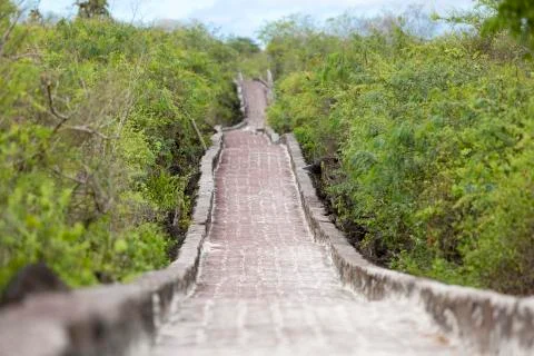 Rustic cobblestone path, access to Tortuga Beach, Galapagos. 스톡 사진