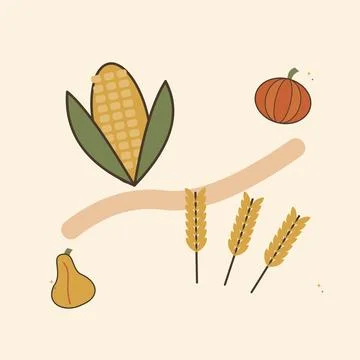 Rustic corn and wheat harvest bouquet. Decorative flat vector composition wit Stock Illustration