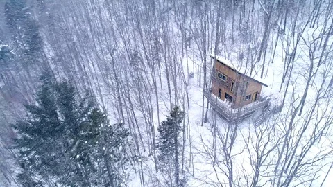 A rustic cottage alone in a forest. Filmed in Canada while it is snowing. Vidéo 107333754