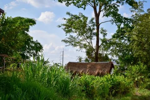 Rustic cottage in backyard Stock Photos
