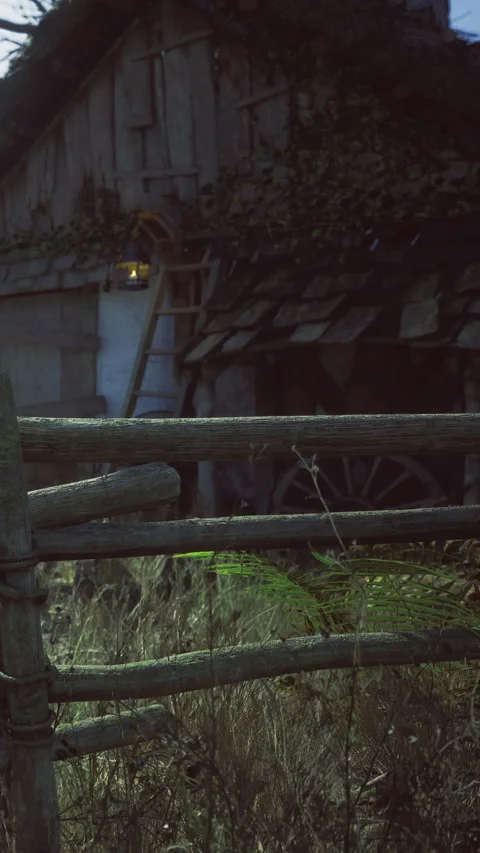 Rustic cottage illuminated by lantern light in tranquil evening setting Stock Footage 341419525
