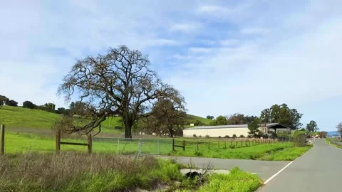 Rustic Country Roadside Stock Footage 271396529