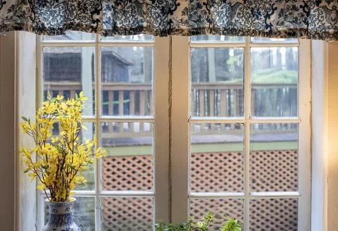Rustic Country Window Scene with Blue Patterned Drapes and Forsythia Blooms Stock Photos