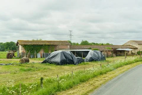 Rustic countryside barn enveloped in greenery and foggy skies Stock Photos