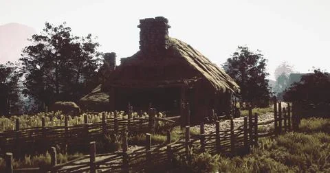 Rustic countryside cottage surrounded by tall grass in late afternoon light Stock Illustration