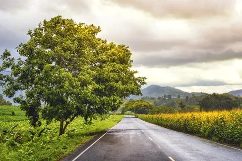 Rustic countryside Stock Photos