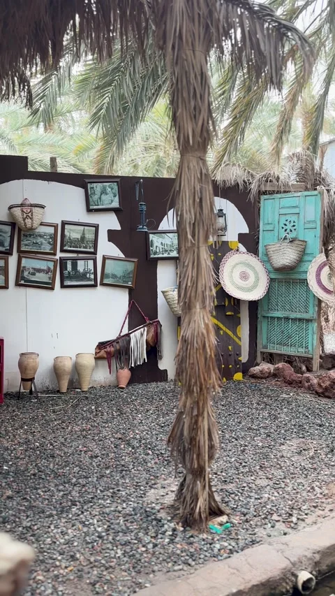 Rustic Cultural Heritage Display in a Palm Oasis Stock Footage 337241413