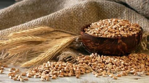 Rustic cup filled with wheat grains and ears placed on a burlap napkin Foto stock
