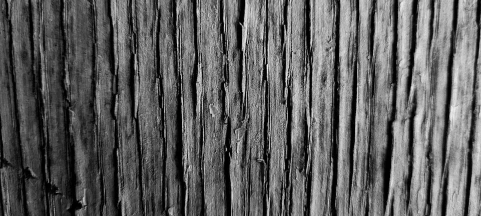Rustic dark timber texture with pronounced vertical grain and weathered sur.. Stock Photos