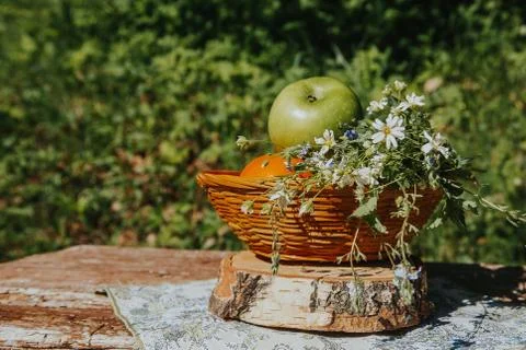 Rustic decor. Forest trees on the background. Stock Photos