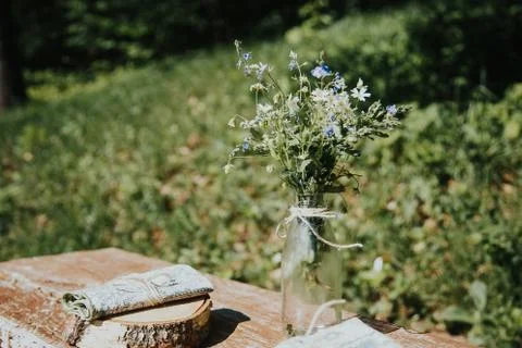 Rustic decor. Forest trees on the background. Stock Photos