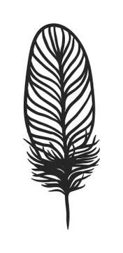 Rustic decorative black feather doodle vintage art graphic vector イラスト素材