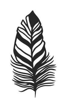 Rustic decorative black feather doodle vintage art graphic vector 스톡 일러스트