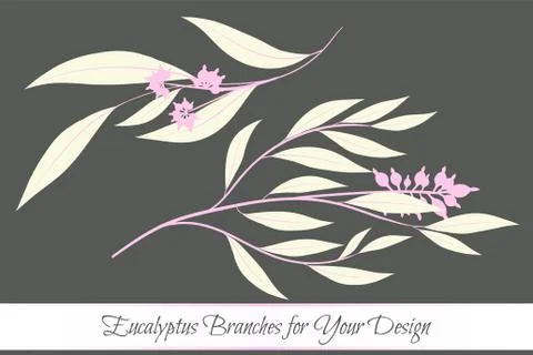 Rustic Decorative Plants Collection. Hand Drawn Eucalyptus Leaves Isolated. V Illustrazione stock