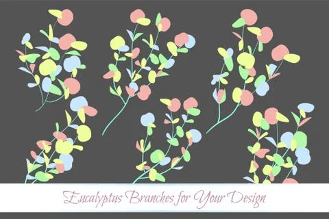 Rustic Decorative Plants Collection. Hand Drawn Eucalyptus Leaves Isolated. V Stock Illustration
