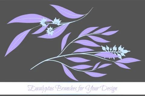 Rustic Decorative Plants Collection. Hand Drawn Eucalyptus Leaves Isolated. V Illustrazione stock
