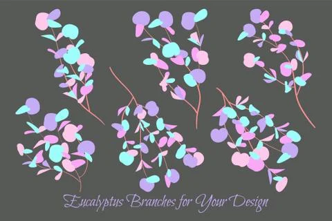 Rustic Decorative Plants Collection. Hand Drawn Eucalyptus Leaves Isolated. V Illustrazione stock