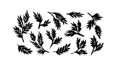 Rustic decorative plants, leaves and branches set Stock Illustration