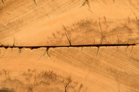 Rustic demolition wood section texture detail Stock-Fotos