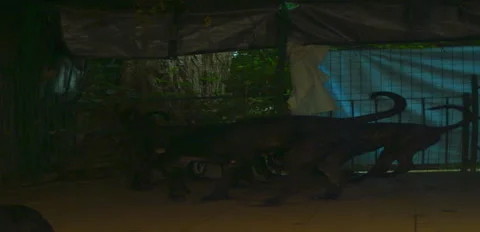 Rustic Dog corso pugnax night pack on terrace 6K anamorphic sequence 02 Stock Footage 342984449