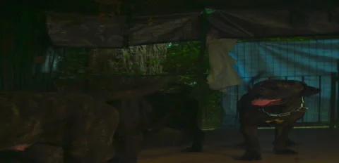 Rustic Dog corso pugnax night pack on terrace 6K anamorphic sequence 03 Stock Footage 343006494