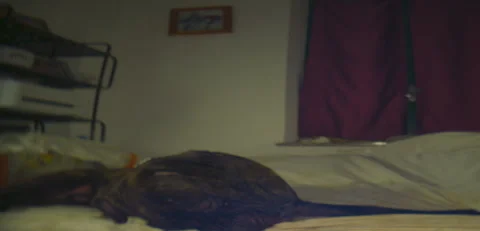 Rustic Dog corso Pulce lounging on bed night 6K anamorphic sequence 02 Stock Footage 343152775