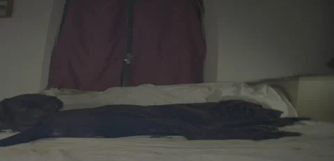 Rustic Dog corso Togo and Nerina playing on bed 6K anamorphic sequence 02 Stock Footage 343161197