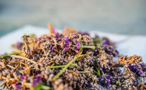 Rustic Dried Lavender Stock Photos