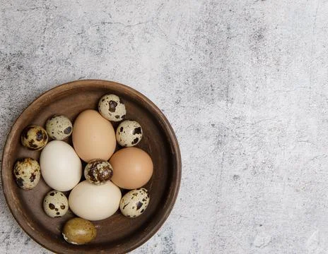 Rustic earthenware plate with fresh chicken and quail eggs and free space Stock Photos