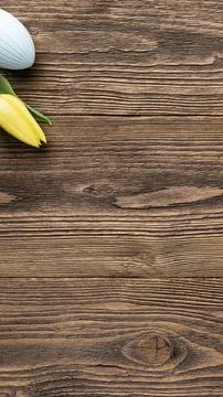 Rustic Easter banner with tulips 写真素材