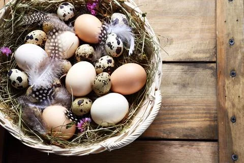 Rustic easter eggs in basket Stock Photos