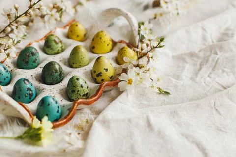 Rustic easter still life. Stylish easter eggs and blooming spring flowers o.. Stock Photos