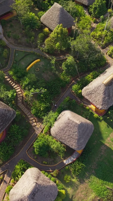Rustic Ecuadorian resort featuring thatched roof huts blending with lush Stock Footage 308411419