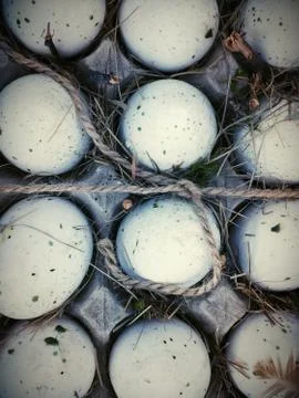 Rustic eggs 库存照片