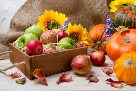 Rustic fall pumpkin, autumn leaves and sunflowers arrangement Stock Photos