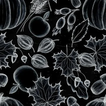 Rustic fall. Seamless Pattern. Drawing on chalkboard Stock Illustration