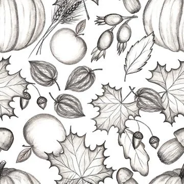 Rustic fall. Seamless Pattern. Pencil drawing Stock Illustration