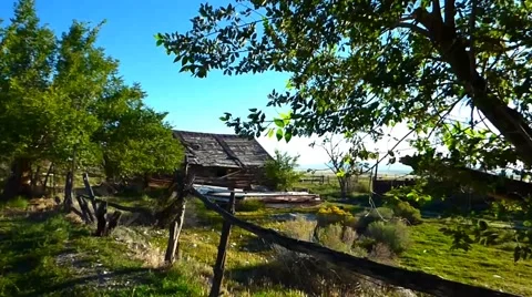 Rustic Farm Building with Trees and Sun Video stock 43009203