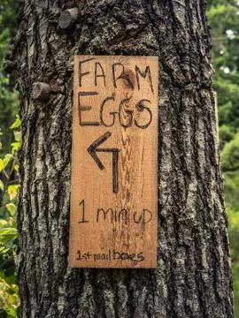Rustic Farm Eggs Sign Foto stock